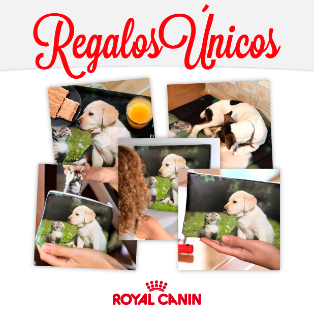 regalos personalizados royal canin